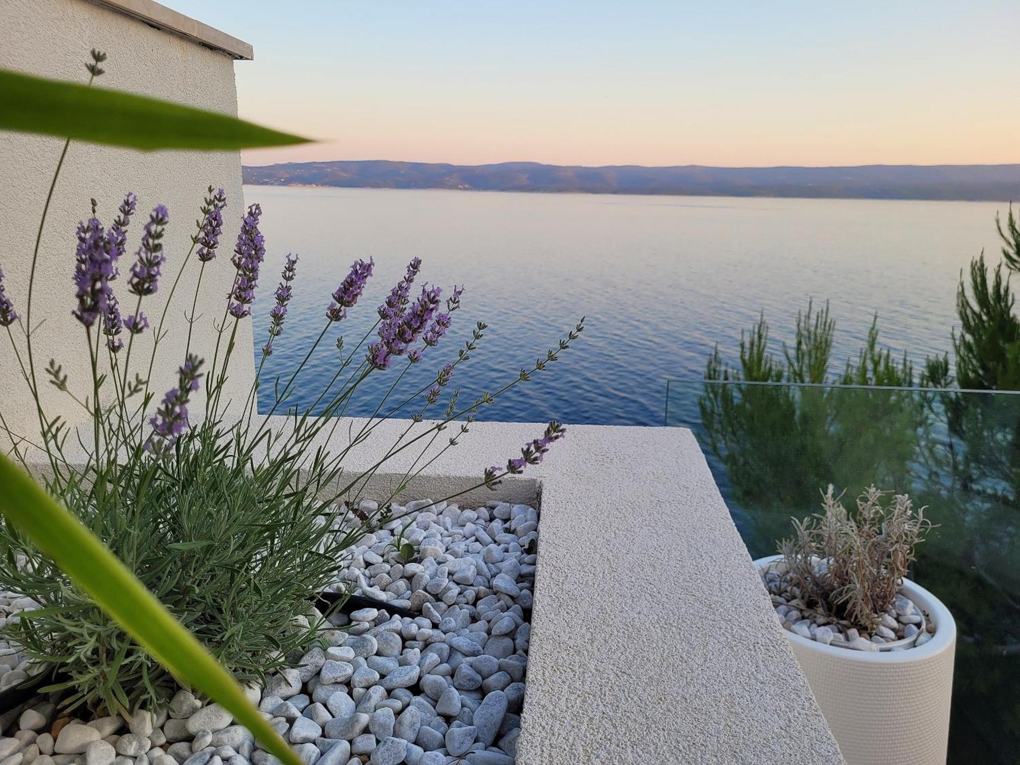 Luxury Apartments Villa Opera Marusici  Bagian luar foto